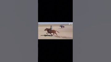 Lần đầu thấy con ngựa chạy kiểu này luôn