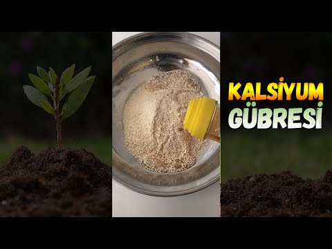 Video: Bitkiler İçin Solucan Döküm Çayı - Bahçelerde Solucan Döküm Çayı Uygulamanın İpuçları