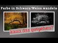 Landschaftsbildern in Herbstfarben in ein SCHWARZ/WEISS Bild wandeln. Kann das gut werden?