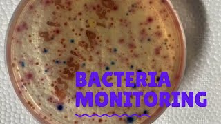 Bacteria Sampling