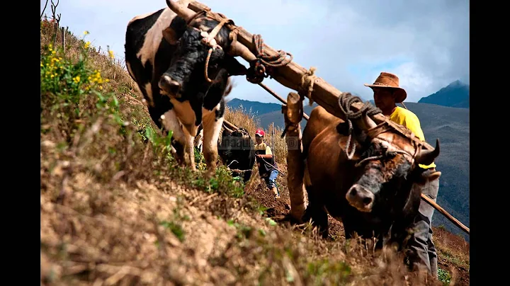 Musica campesina mix + los serranitos 5