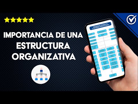 ¿Cuál es la Importancia de una Estructura Organizativa para el Éxito de la Empresa?