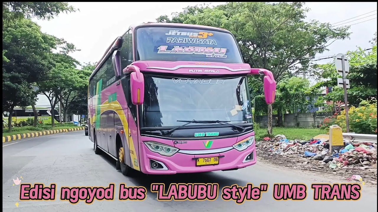 Ngoyod bus telolet basuri 