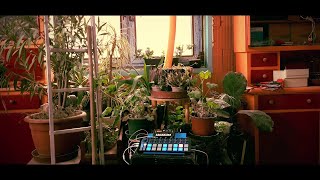 Ambient melodies with NTS-1 and ARTURIA Beatstep