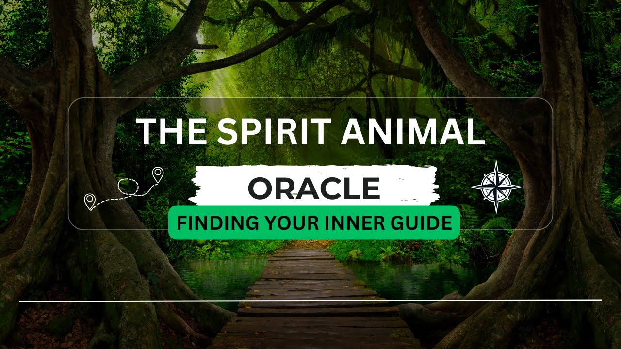 Spirit of the Oracle Guide Finding YOUR Animal Guide tarotreading 