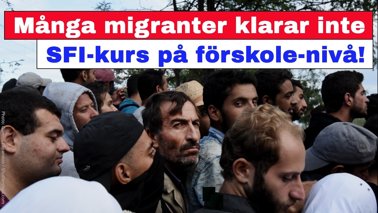 ”Många migranter klarar inte SFI-kurs på förskolenivå!”