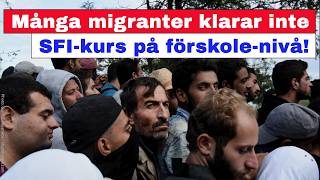 ”Många migranter klarar inte SFI-kurs på förskolenivå!”