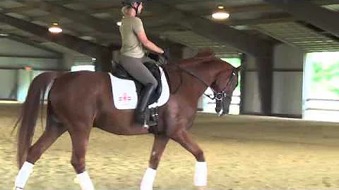 Jennifer Fulmer & Phinnigan Demo Test on June 10, ...