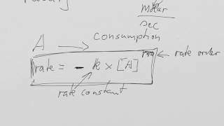 week 18 workshop   rates and enzymes