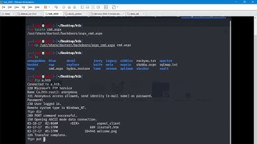 Web Shell with cmd.aspx