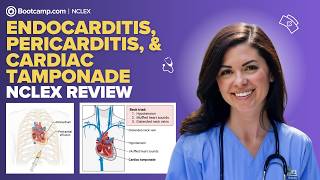 Endocarditis, Pericarditis, & Cardiac Tamponade | Everything You Need to Know for the NCLEX