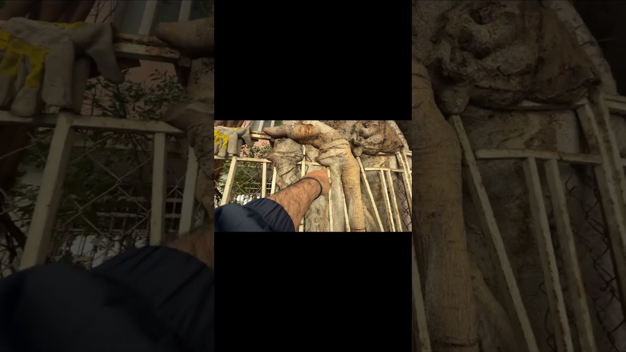 جولة في شارع الحمرا – قلب بيروت الثقافي بين الماضي والحاض تاريخ 1/3/2026