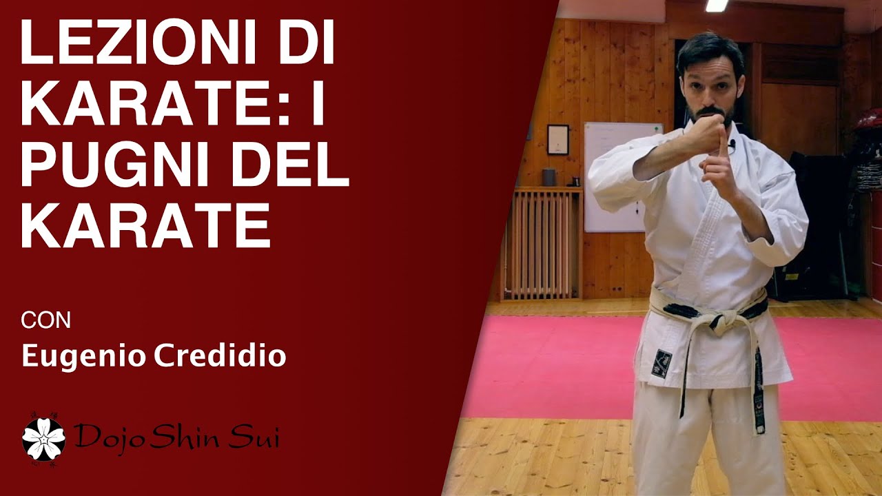 Lezioni di Karate: i pugni del karate