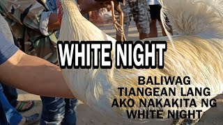 WHITE NIGHT PERUVIAN