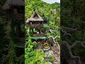 Mexico Travel Guide | Villa Lala Puerto Vallarta Jungle Ocean Escape 🇲🇽