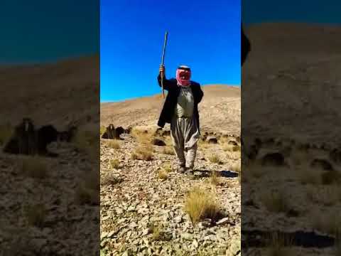 رقصة كلها رجولية