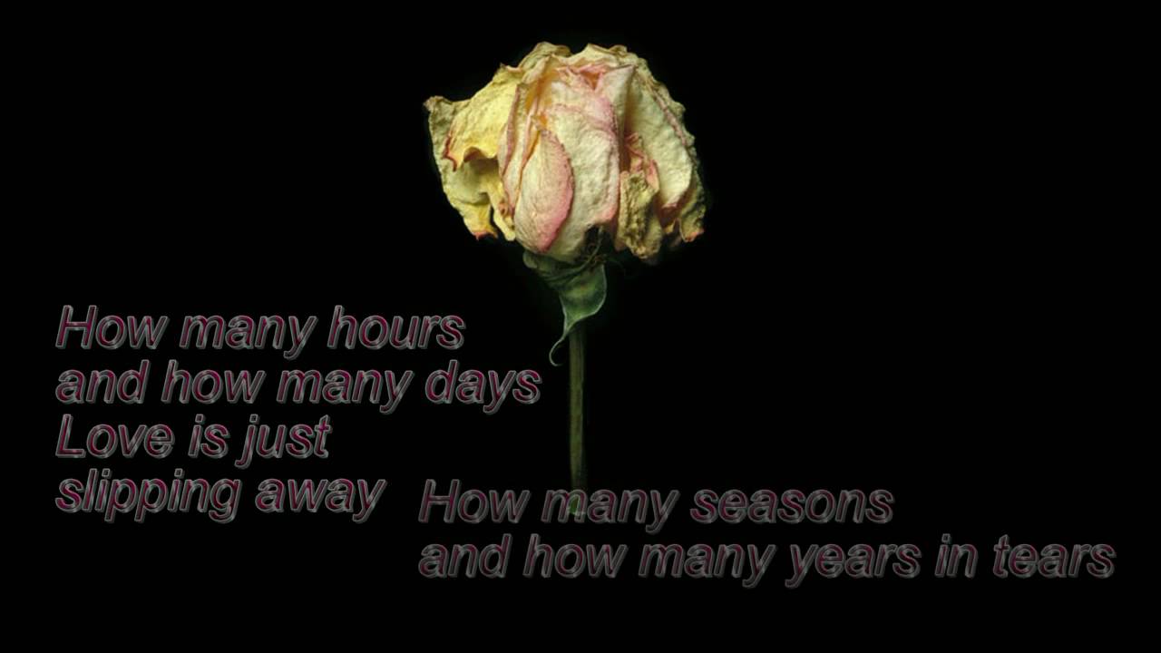 MKlaus: How many hours