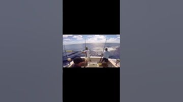 Getting Stabbed By Swordfish Compilation