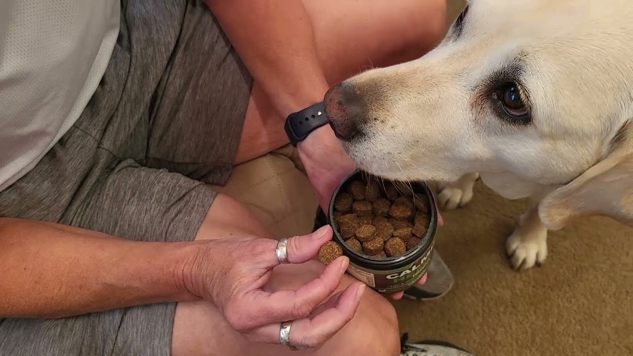 She's Pretty Calm Already, But Sometimes... Pippi Likes REVIEW: Vet Promise Calming Chews