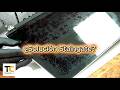 Lección 14 | Staingate | Curso de Sustitución de Panel LED Apple MacBook