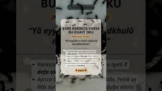 🤲 Bu Duayı Oku: Karıncalardan Kurtul