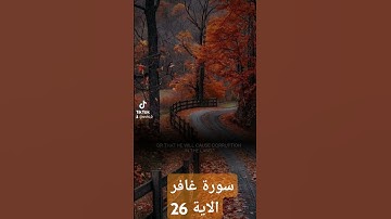 سورة غافر #لايك #دويتو #فولو #حالات_واتس #دعاءمستجاب # قران#quran