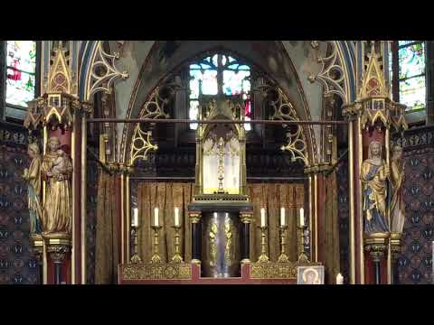 Video: Hoe De Dag Van De Heilige Drie-eenheid Te Vieren?