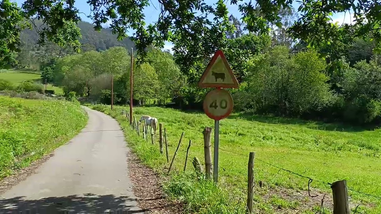 Carbajal 🐎 nada mal 🌄 BICI ASTURIAS