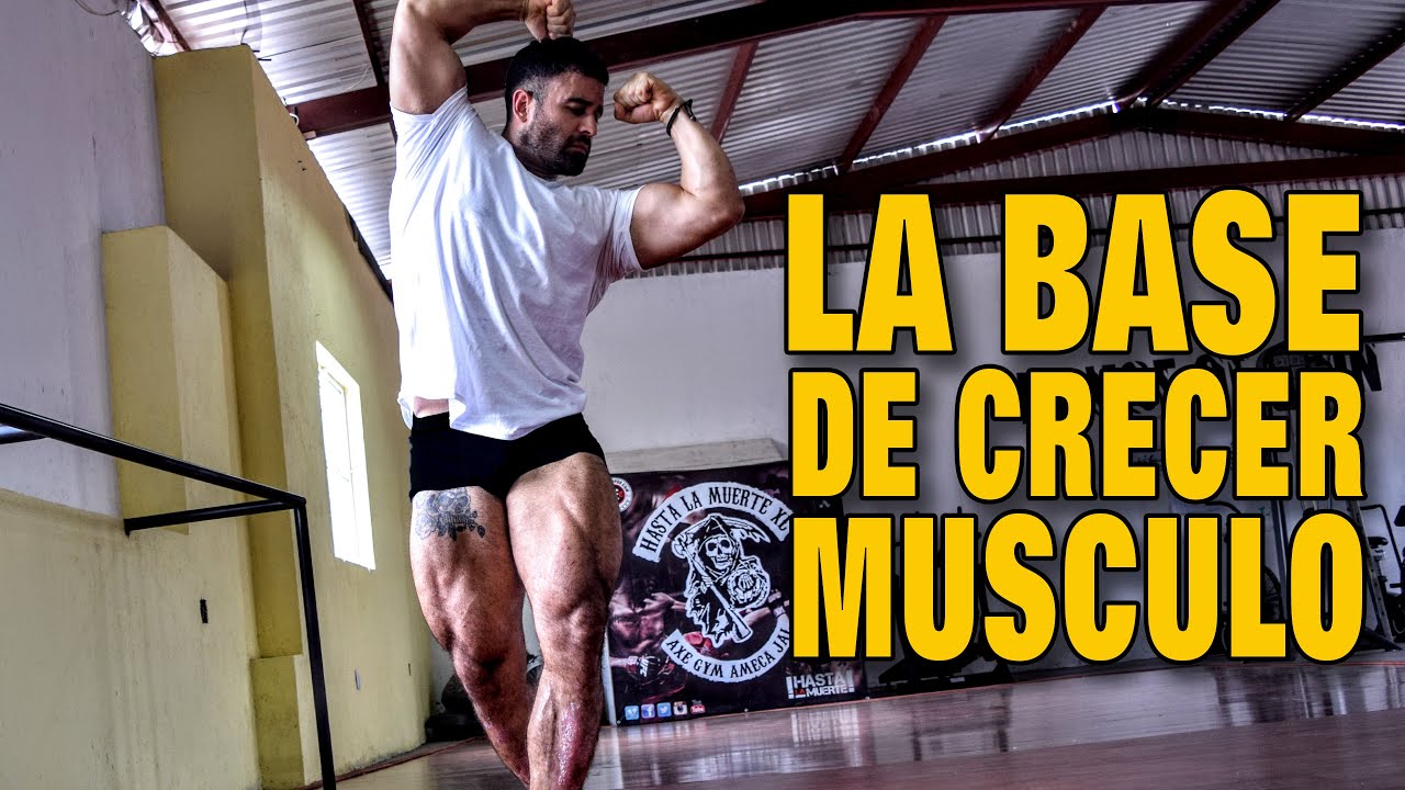 LA BASE PARA CRECER LOS MÚSCULOS  (como crecer cualquier musculo)