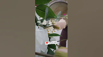 ديكة دف بندير اعراس الجزائر تصديرة العروس الجزائرية الخنساء اعراس الجزائر 