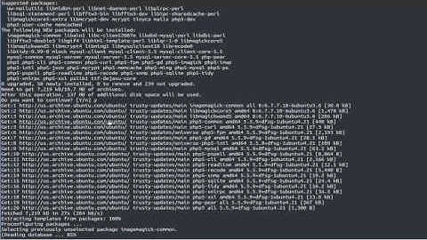 How To install Textpattern with Lighttpd web server on ubuntu Linux