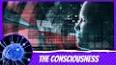 The Enigma of Consciousness: Exploring the Mind-Body Connection ile ilgili video