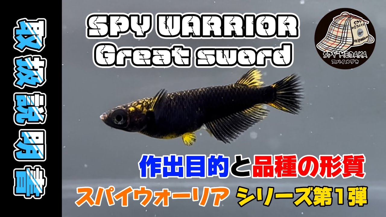 リリース間近】『グレートソード』取扱説明書《スパイウォーリア 