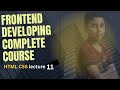 Frontend development lecture 11#use of flex in css