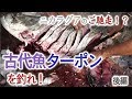 世界一不味い魚！？魅惑の古代魚・ターポン後編【ゲテモノチャレンジ第１５弾】