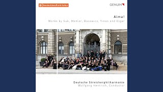 Concerto for String Orchestra: III. Vivo