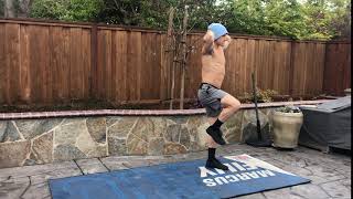 Cobra Reverse Lunge to Knee Lift