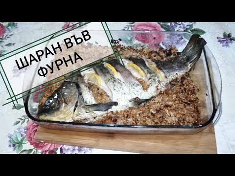 Видео: Как да приготвим вкусен шаран във фурната