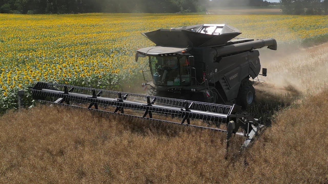 FENDT IDEAL 8T am Raps dreschen / 4K