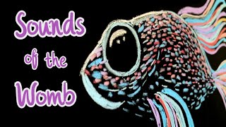 All Through the Night ♥ 8 HOURS of Womb Sounds + Lullaby + Chalk Art