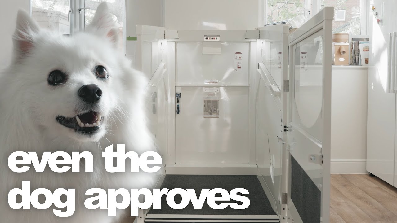 We Cut a Hole in the Ceiling… Then This Happened