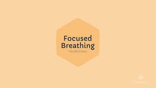 Focused Breathing: DBT Mindfulness Exercise