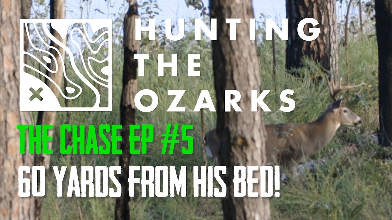 Big Bucks On Arkansas Public Land YouTube