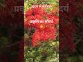 हृदय से स्वागत 💐#nature #motivational #love #flowers #viralvideo#cool #viral #shorts #youtubeShorts