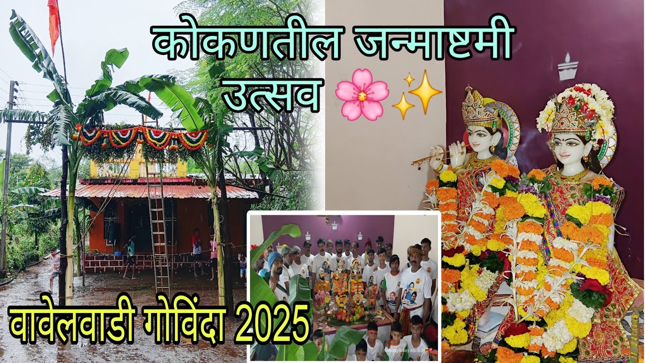 कोकणातील  जन्माष्टमी 🌸✨️| वावेलवाडी गोविंदा 2025 | #kokan 