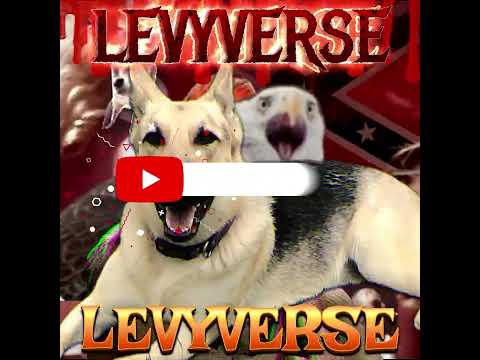 SUBSCRIBE TO THE LEVYVERSE WITH BOB LEVY