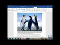 Microsoft Word Pashto Part 17 مایکروسافټ ورډ پښتو شپاړسمه برخه 