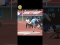 砲丸投げで虎