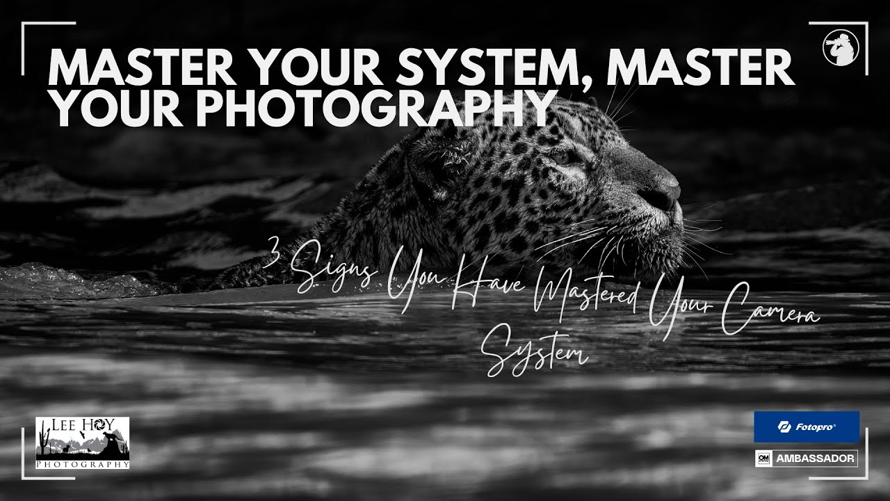 Три признака того, что вы освоили свою камеру