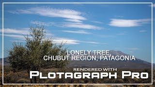 Lonely tree, Chubut region Argentina, Patagonia | Plotagraph Pro